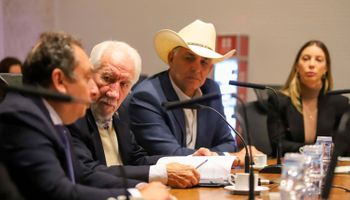 Empresa americana vai investir R$ 2,3 bilhões em fábrica de SAF no Paraná