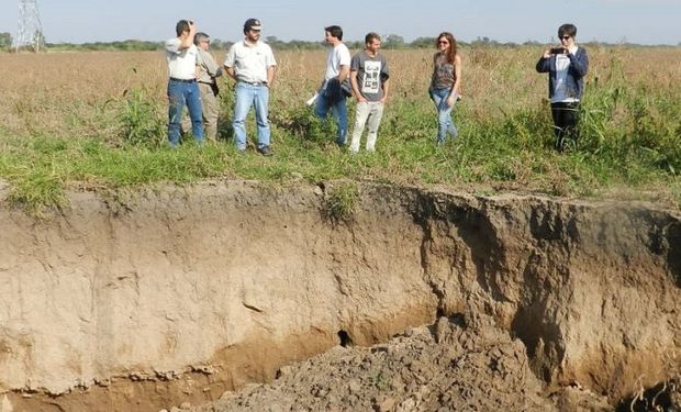 Entusiasmo con "freno de mano" puesto: qué temas siguen las empresas agropecuarias