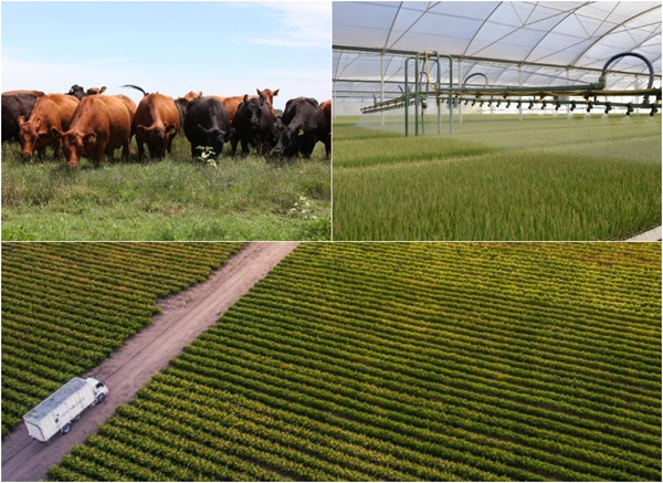 Qué Son Las Empresas B Y El Listado De Las Siete Argentinas De Agro Que ...