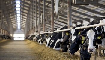 Empresas lácteas acorraladas por un sindicato