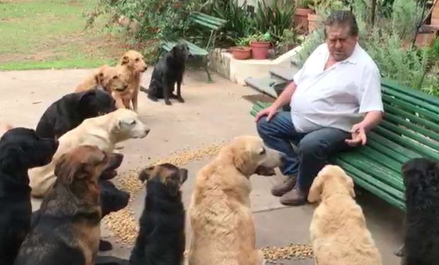 Polo, el encantador de perros que solo comen después de rezar