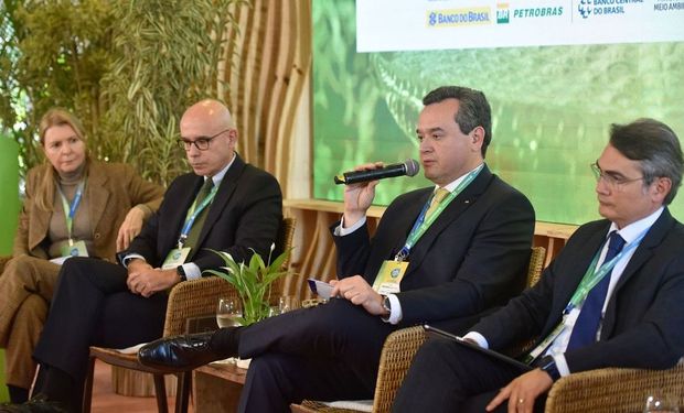 Bancos brasileiros já financiam R$ 400 bi em Economia Verde