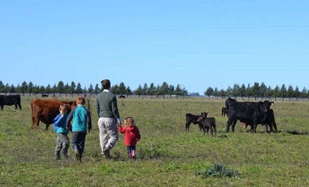 Encuesta inédita a 1455 productores: cuántas empresas agropecuarias tienen saldos de IVA y cuántos refinanciaron deudas por la sequía