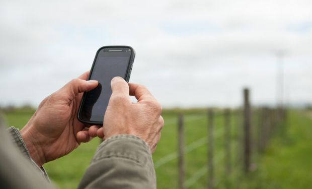 Siembra: para el 76 % de los productores el pago de los arrendamientos representa el 40 % o más de sus costos totales