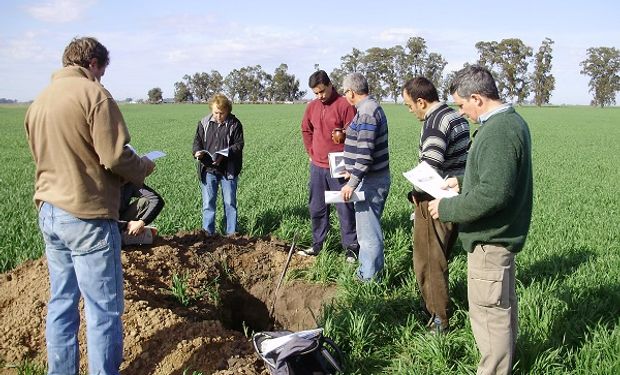 ¿Qué tan sustentables son los sistemas de producción en Argentina?