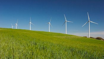 Energías renovables: ¿quiénes pueden solicitar la devolución del IVA?