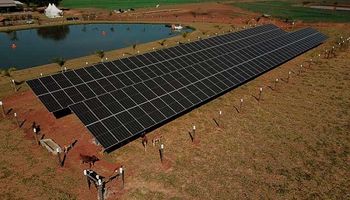 Agrishow 2022: cuánto cuesta el panel solar que genera energía y sombra para el ganado