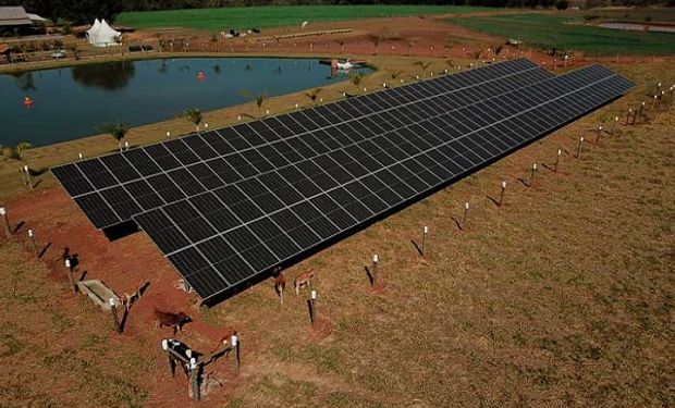 Agrishow 2022: cuánto cuesta el panel solar que genera energía y sombra para el ganado