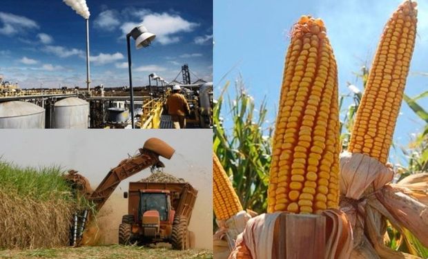 Aumenta la participación del Campo y la agroindustria en la producción de energía de nuestro país.