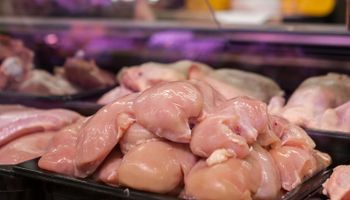 Brasil suspendió las exportaciones de carne aviar y derivados por la enfermedad de Newcastle