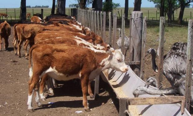 Dos Jornadas que le permitirán al productor, empresario y toda aquella persona dedicada a la ganadería, tener a su alcance los últimos avances.