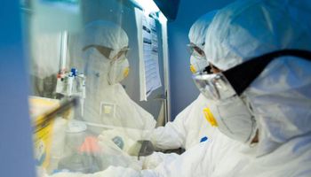 Anvisa autoriza testes clínicos para primeira vacina brasileira contra gripe aviária 