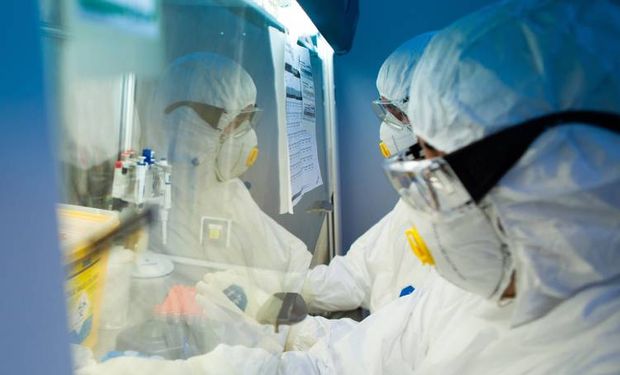 Anvisa autoriza testes clínicos para primeira vacina brasileira contra gripe aviária