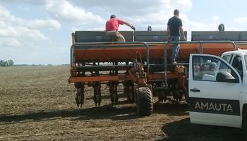 Con más de 2500 ensayos encontraron cómo ganar US$ 271 más por hectárea de maíz y US$ 73 de soja