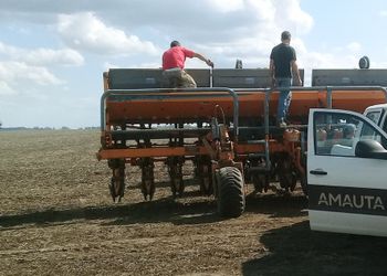 Con más de 2500 ensayos encontraron cómo ganar US$ 271 más por hectárea de maíz y US$ 73 de soja