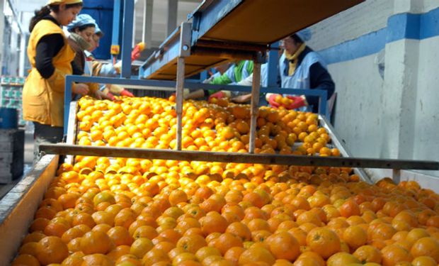 Brasil importará cítricos dulces de Entre Ríos.