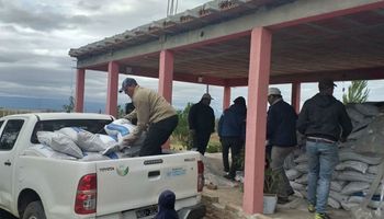 Tras los incendios en Córdoba, la hacienda quedó sin pasturas y reciben asistencia