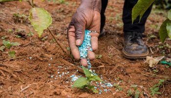 Entregas de fertilizantes somam mais de 9 milhões de toneladas no primeiro trimestre