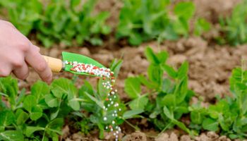 Entregas de fertilizantes crescem 8,4% e somam 40,94 milhões de toneladas