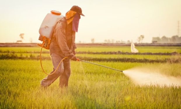 FPA também argumenta que aplicação correta garante a saúde da planta, do alimento e do produtor rural.