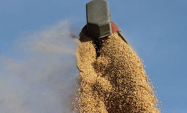 Ganancias para la soja y perdidas para el maíz y el trigo en el mercado de Chicago