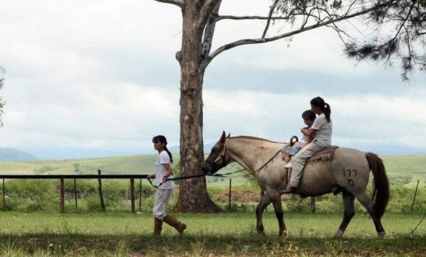 Su hijo tiene parálisis cerebral, los caballos lo ayudaron a caminar y ahora lucha por una ley de equinoterapia