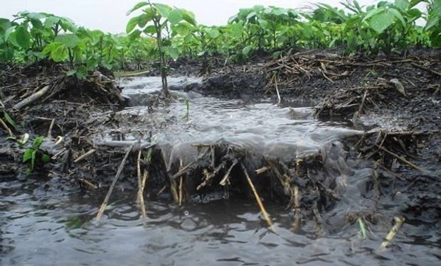 En las lluvias importantes, el agua que “corre” lava la materia orgánica y se reduce la fertilidad del suelo, si no se toman medidas