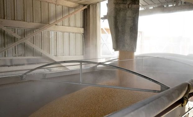 Los cereales se mantuvieron al alza mientras la soja cerró con pérdidas: cuánto se pagó en Rosario  