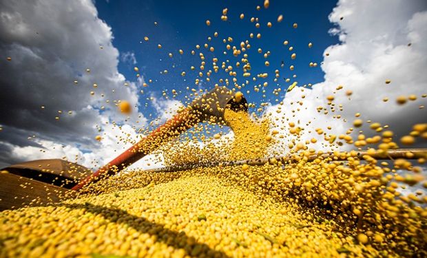 Las buenas perspectivas comerciales apuntalan los precios de la soja, trigo y maíz en Chicago