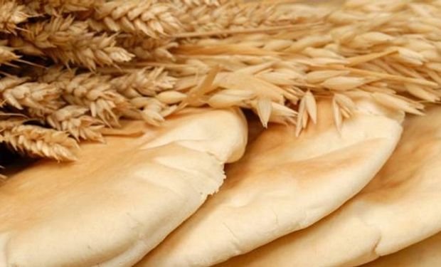 El mensaje de los molineros contra la extensión del fondo del trigo: “Una herramienta que dilapida recursos del Estado”