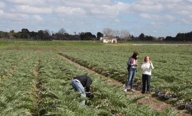 Es del agro: el negocio secreto de La Plata que mueve millones con el Cynar y la Hepatalgina 