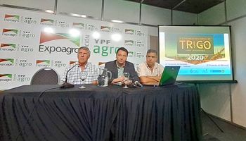 Trigo: Tres Arroyos será sede del encuentro científico tecnológico más importante de la Argentina