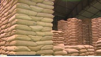 Polícia investiga desaparecimento de sacas de café em cooperativa no Sul de Minas