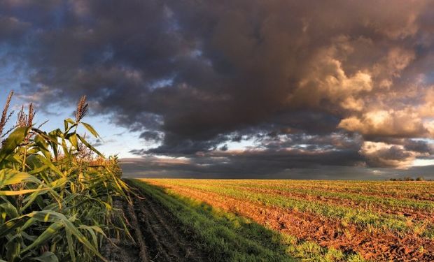 "La Niña" intenta avanzar, pero la acción residual de "El Niño" se lo impide.