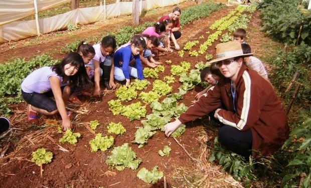 Senado aprova ensino rural entre lida e sala de aula