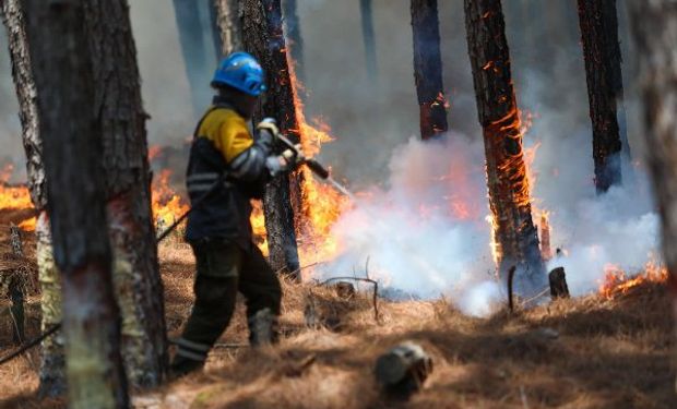 La escuela rural que se transformó en el corazón de la lucha contra el fuego en Corrientes