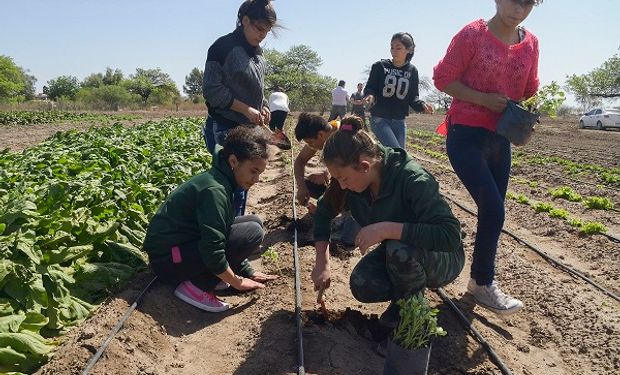 A través de EscuelAgro el Estado establece un compromiso con la educación agraria.