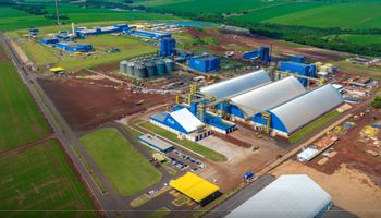 C.Vale vai inaugurar esmagadora de soja de R$ 1 bilhão no Paraná