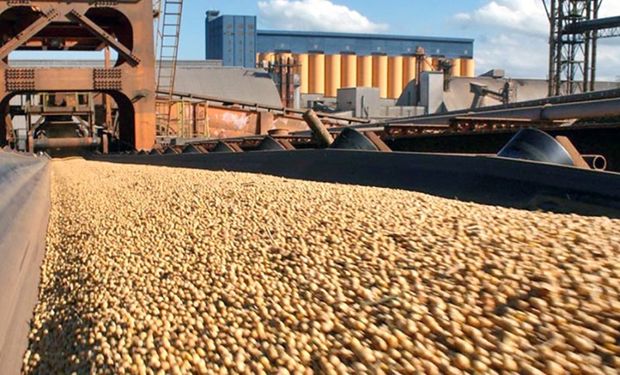As exportações de soja do Brasil deverão totalizar 95 milhões de toneladas em 2024, contra 101,86 milhões em 2023. (foto - CNA)