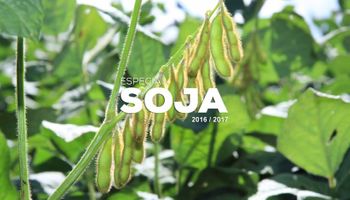 Los detalles de una campaña ESPECIAL para la soja