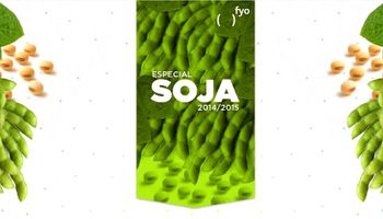 Soja: pérdidas en el mercado se revierten parcialmente