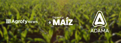 Maíz