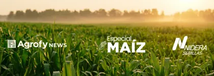 Maíz