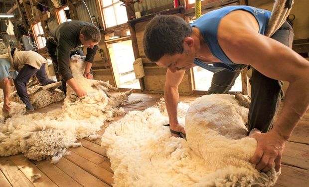 Fijan nuevos salarios mínimos para el arreo de ganado, cultivo de hongos, esquila y cosecha de papas