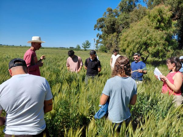 establecimiento argelanda
