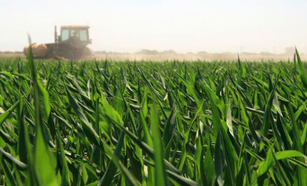 Lanworth mantiene su estimación de la producción mundial de granos