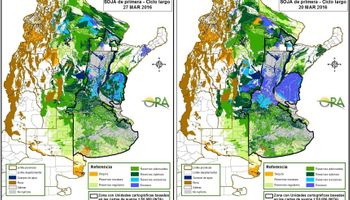 Excesos hídricos en soja en paulatino retroceso