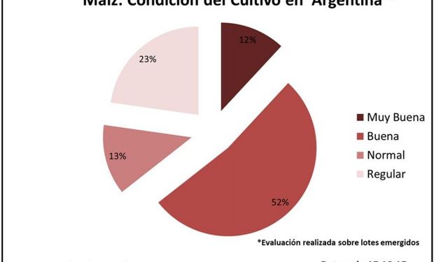 Condición del cultivo de maíz. Fuente: BCBA.