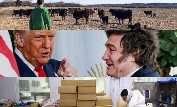 "Caos": la bronca de los ganaderos estadounidenses cuando se espera un cupo 80.000 toneladas para la carne argentina