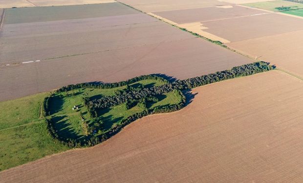 Un influencer se metió en la estancia La Guitarra y contó detalles de la conmovedora historia